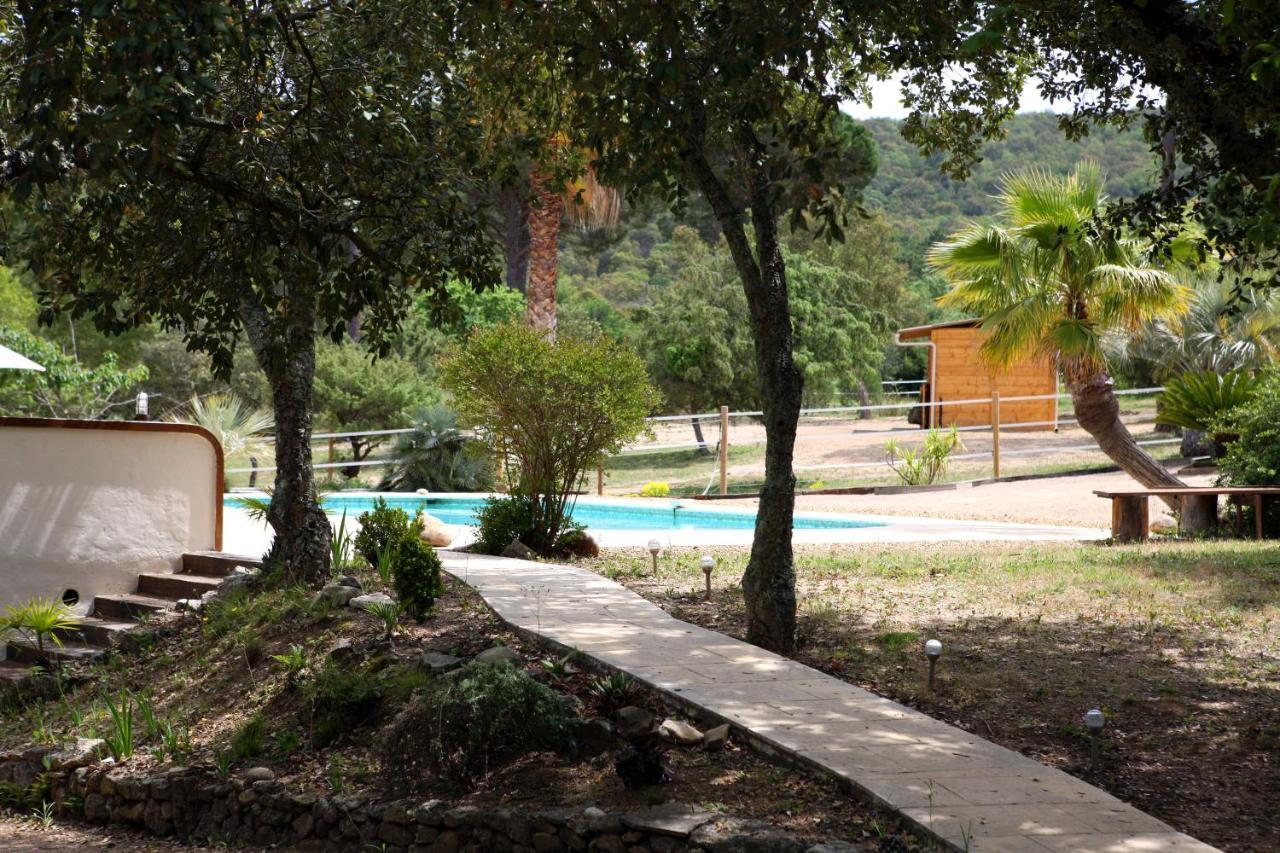 Villa Villekulla Dependance Avec Spa Privatif Le Plan-de-la-Tour Exterior photo